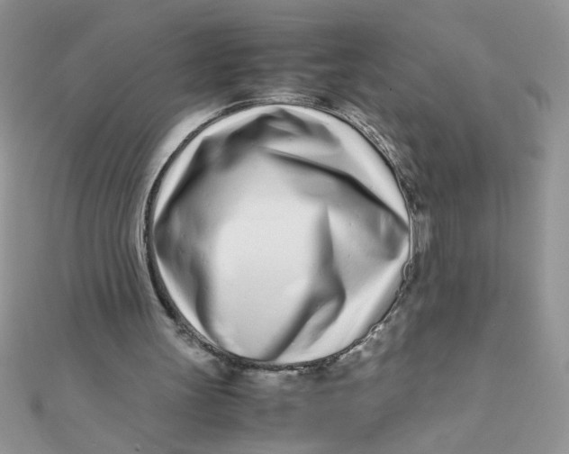 X0000112370147200909031938