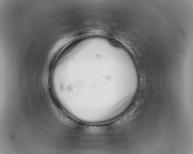 X0000112370149200909031938