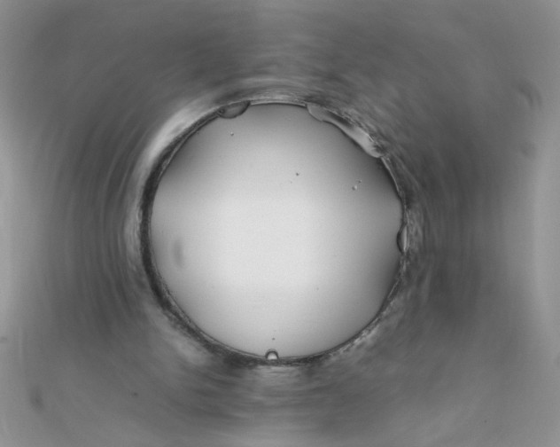X0000112370150200909031938