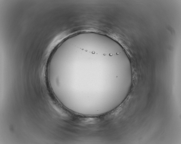 X0000112370151200909031938