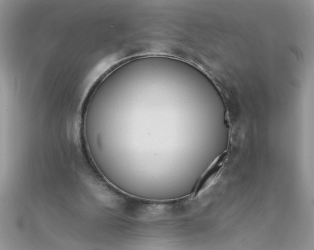 X0000112370152200909031938
