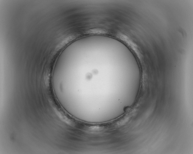 X0000112370153200909031938