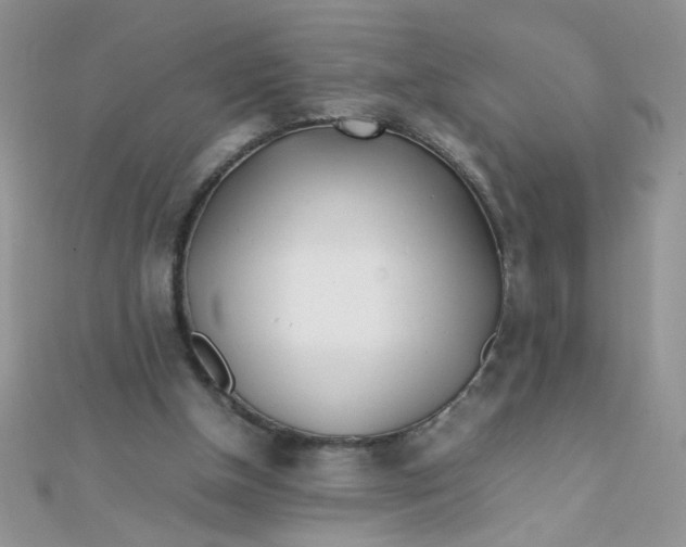 X0000112370154200909031938