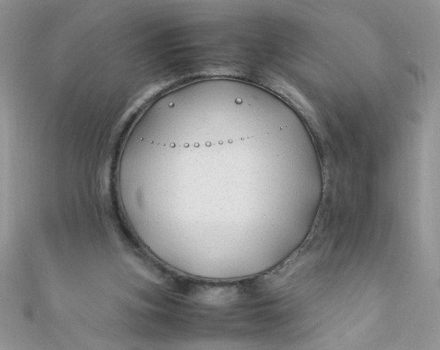 X0000112370155200909031938