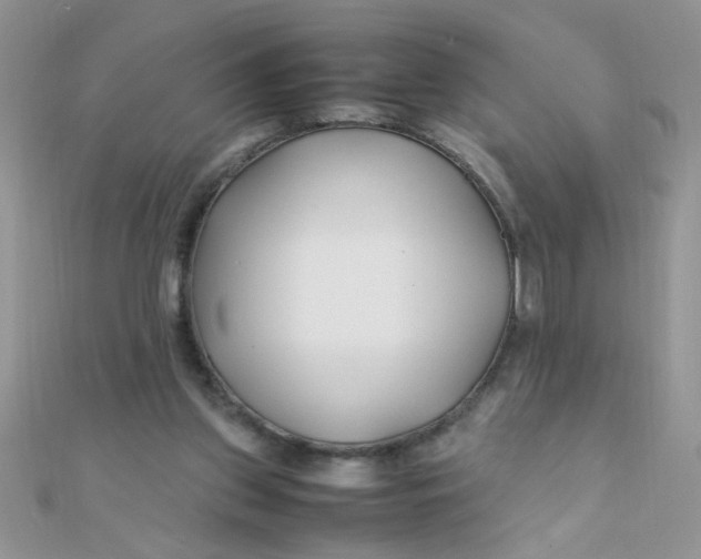 X0000112370157200909031938