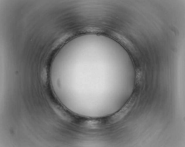 X0000112370158200909031938