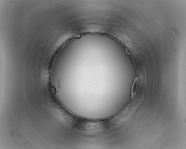 X0000112370160200909031938