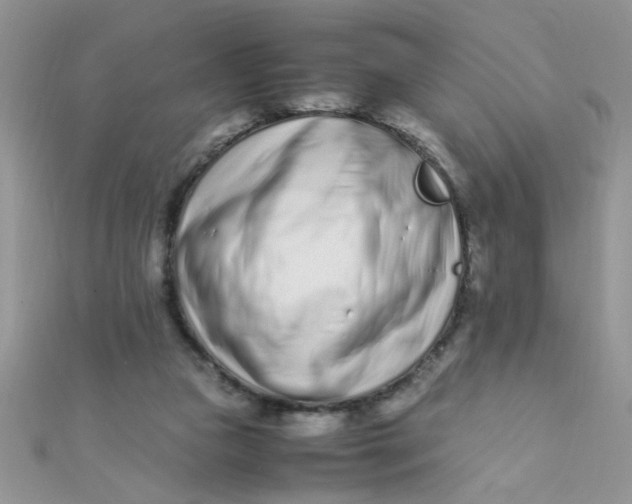 X0000112370161200909031938
