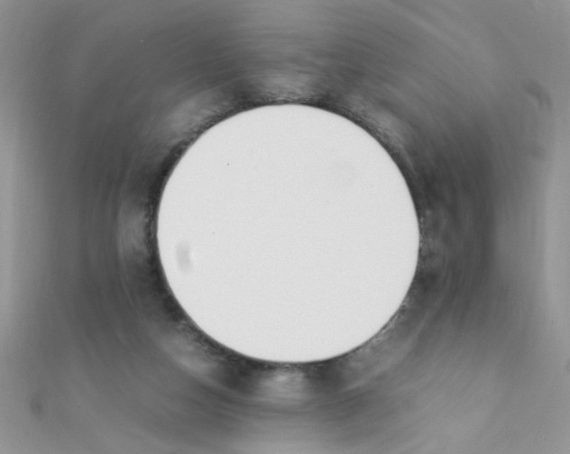 X0000112370162200909031938