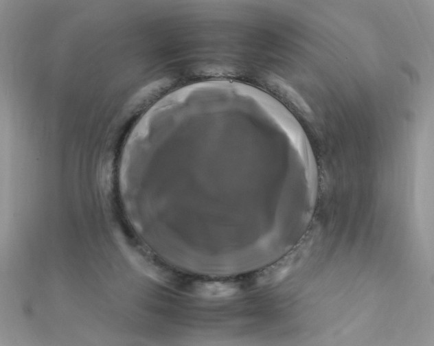 X0000112370163200909031938