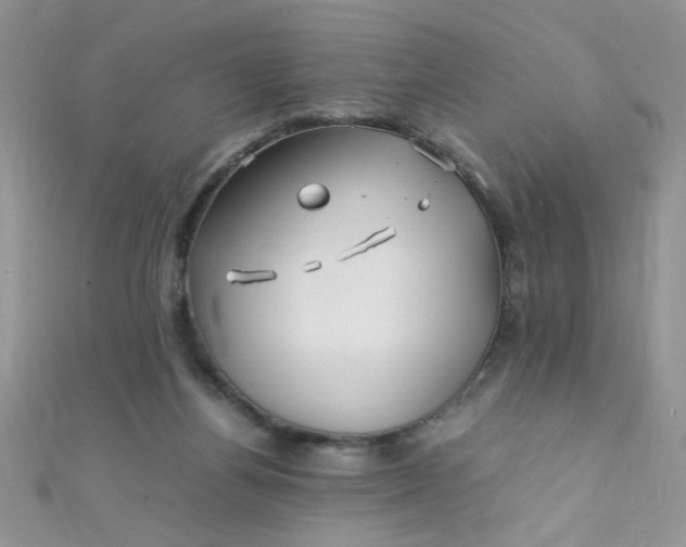 X0000112370164200909031938
