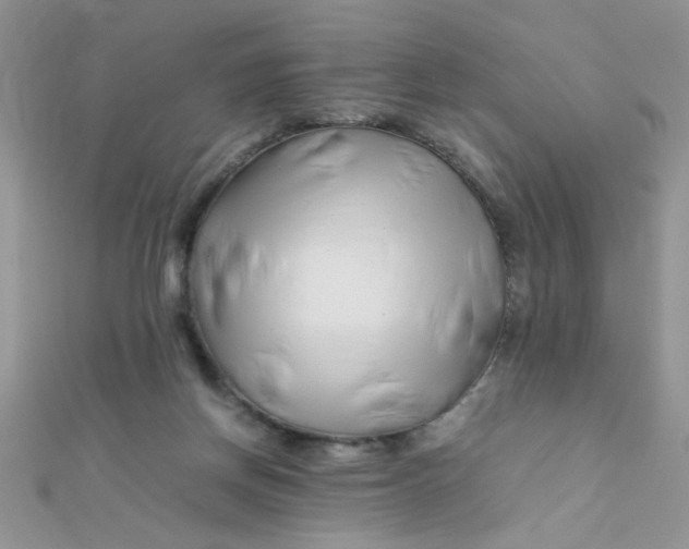 X0000112370166200909031938