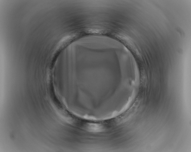 X0000112370167200909031938