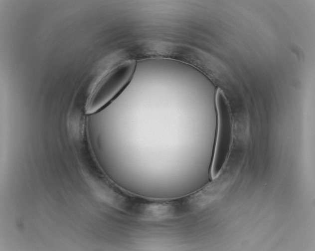 X0000112370168200909031938