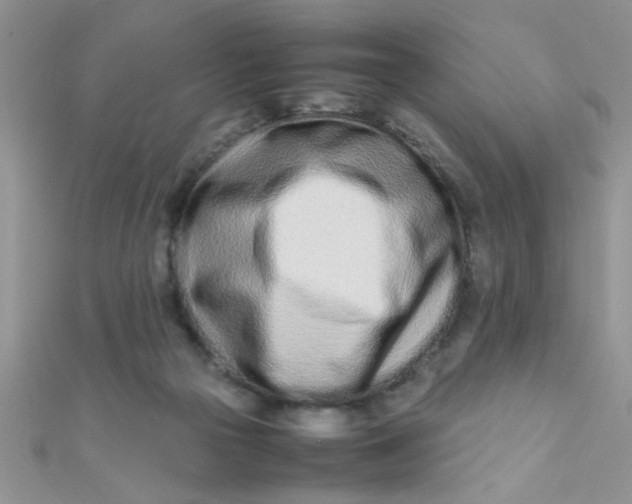 X0000112370169200909031938