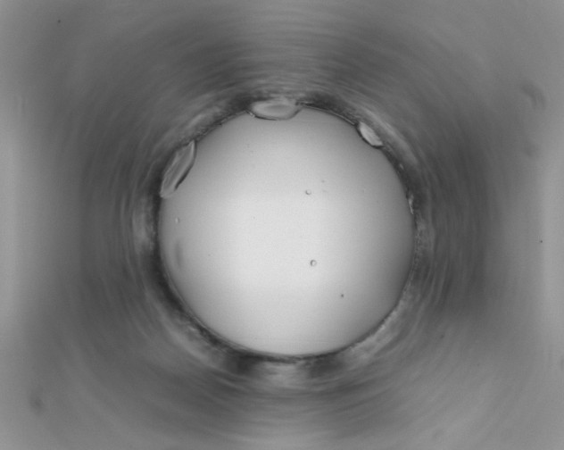 X0000112370170200909031938