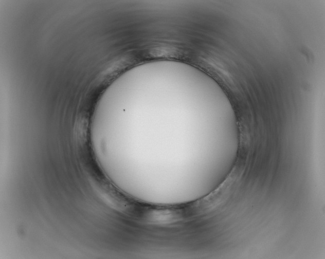 X0000112370171200909031938