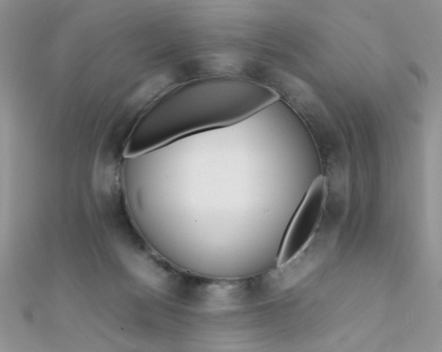 X0000112370172200909031938