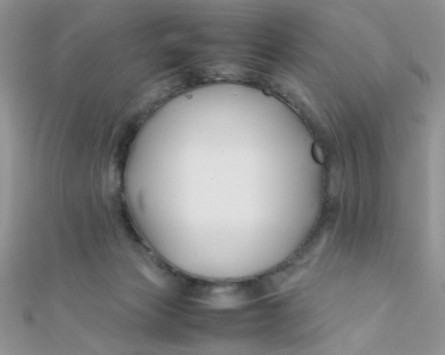 X0000112370173200909031938