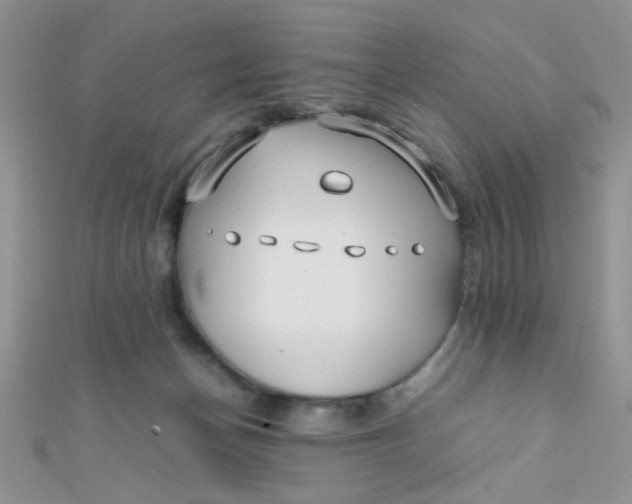 X0000112370174200909031938