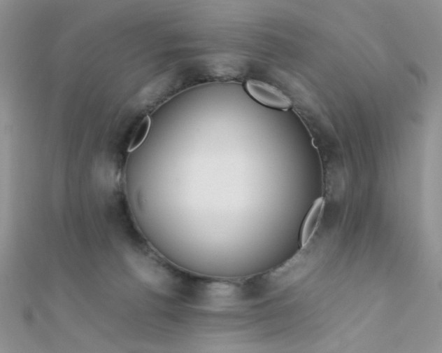 X0000112370176200909031938