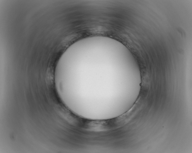 X0000112370179200909031939
