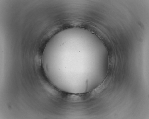 X0000112370180200909031939
