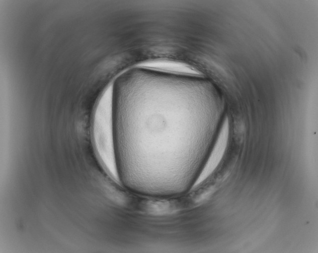 X0000112370181200909031939