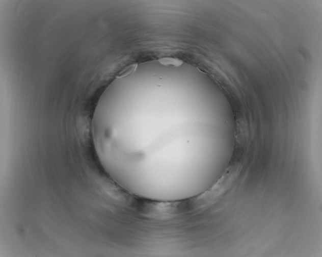 X0000112370184200909031939