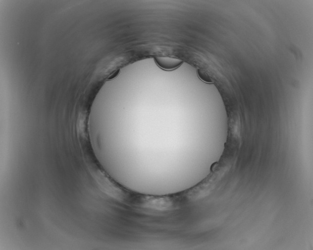 X0000112370185200909031939