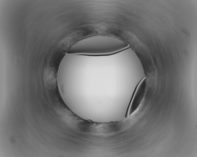 X0000112370186200909031939