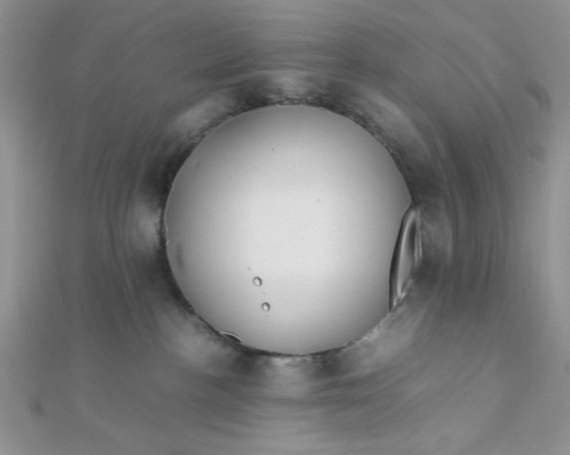 X0000112370188200909031939