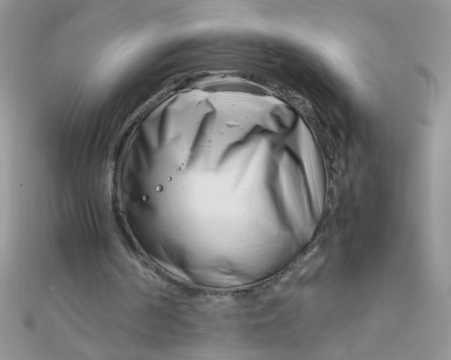 X0000112370194200909031938