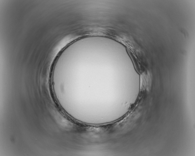 X0000112370195200909031938