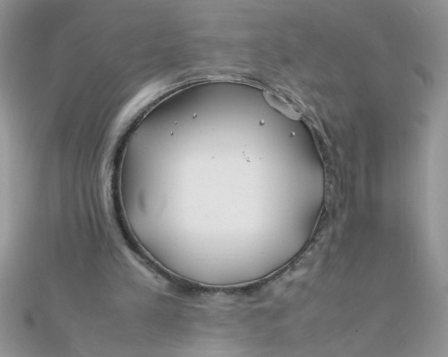 X0000112370197200909031938