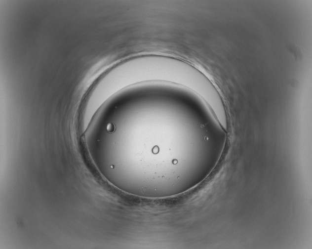 X0000112370199200909031938