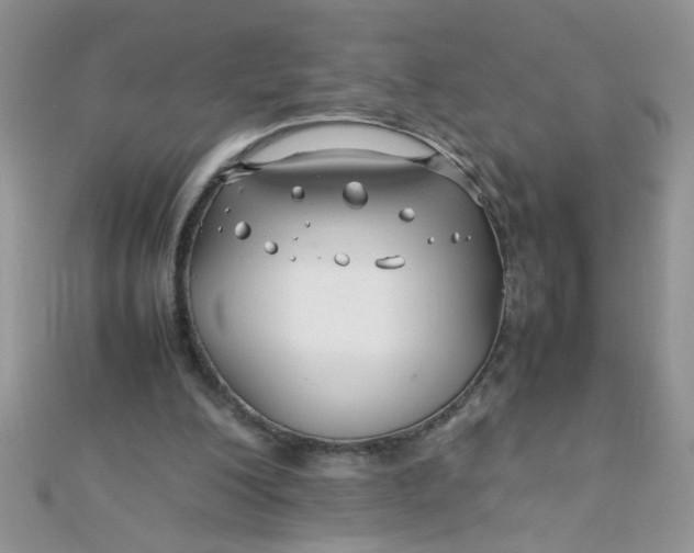 X0000112370200200909031938