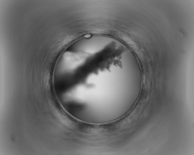 X0000112370201200909031938