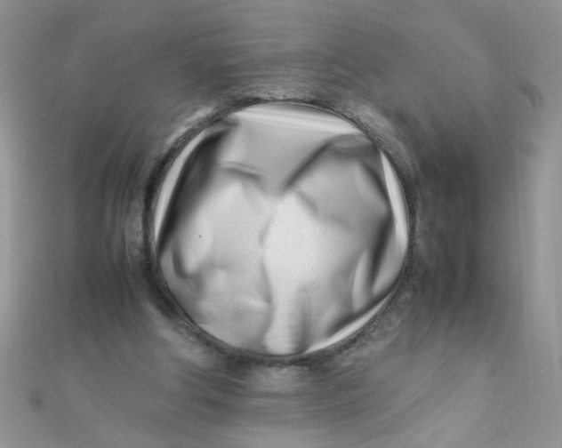 X0000112370202200909031938