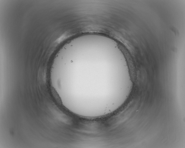 X0000112370203200909031938