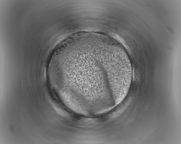 X0000112370205200909031938
