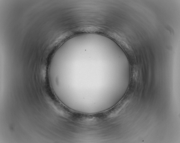 X0000112370206200909031938