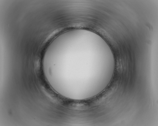 X0000112370208200909031938