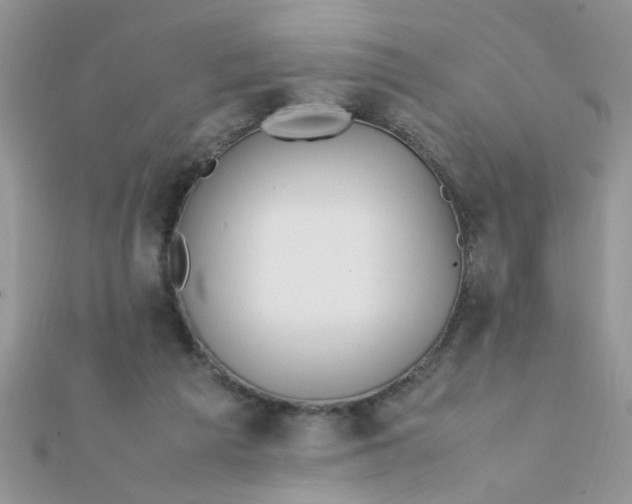 X0000112370209200909031938