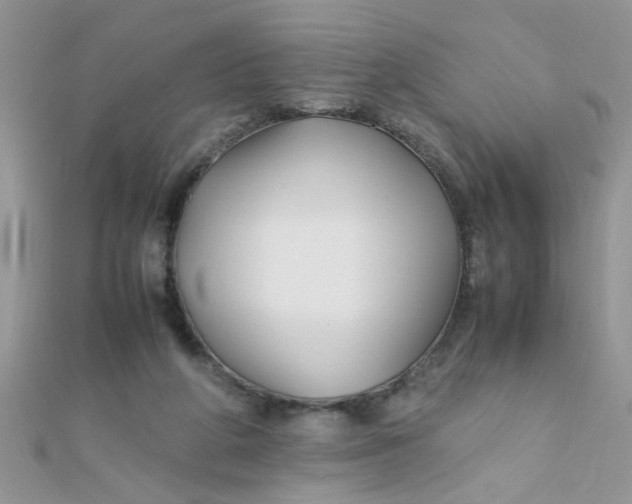 X0000112370210200909031938