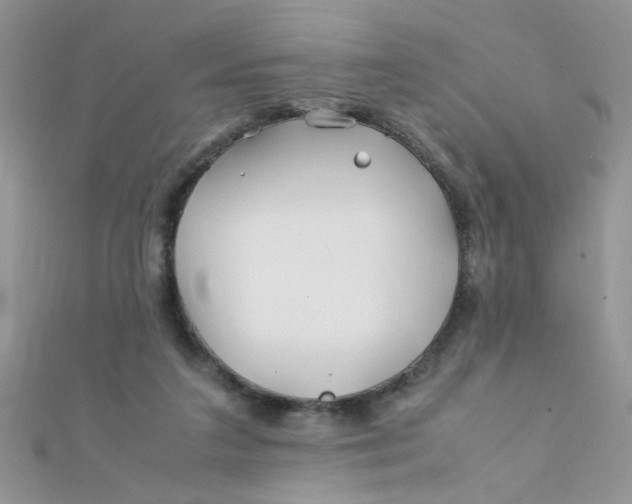 X0000112370211200909031938