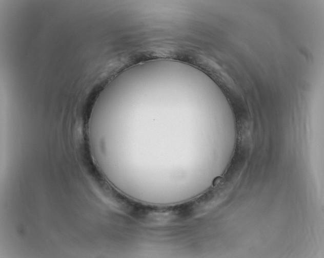 X0000112370213200909031938