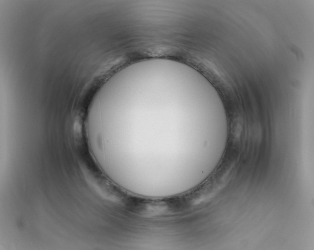 X0000112370214200909031938