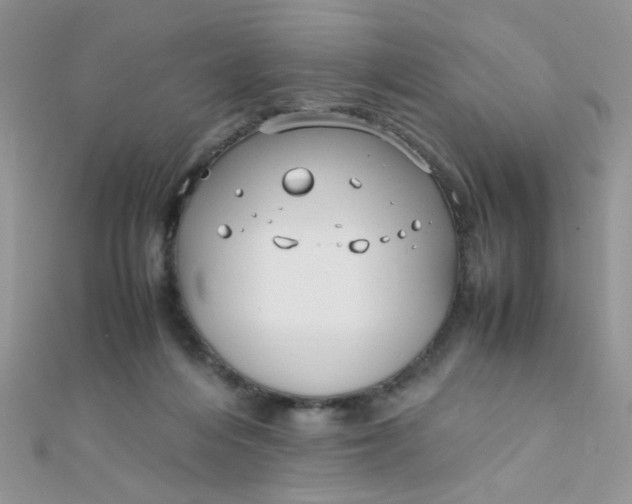 X0000112370216200909031938