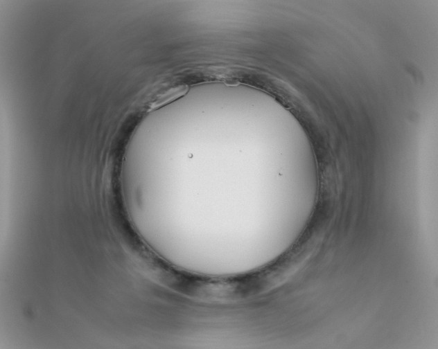 X0000112370217200909031938